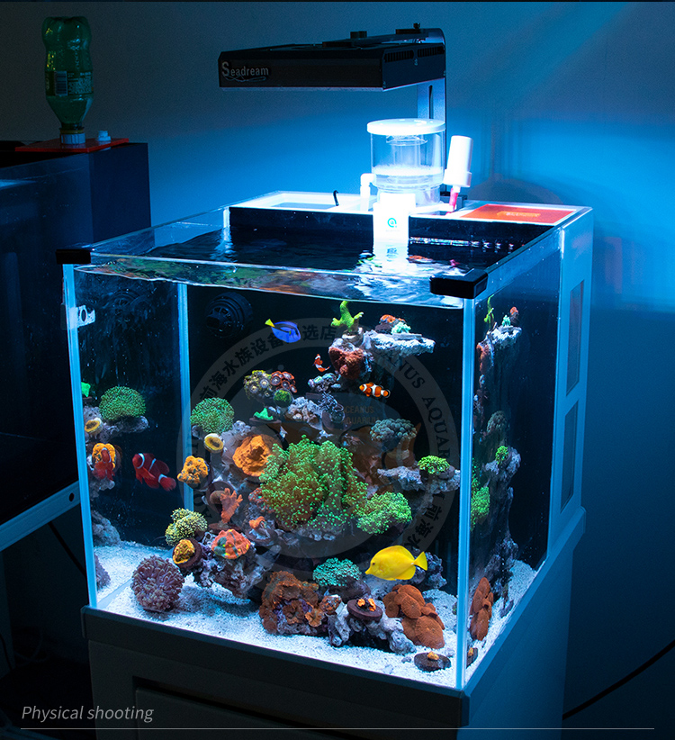 40背滤海缸40背滤海水缸全套珊瑚缸超白玻璃海缸小型检疫饲养珊瑚小丑