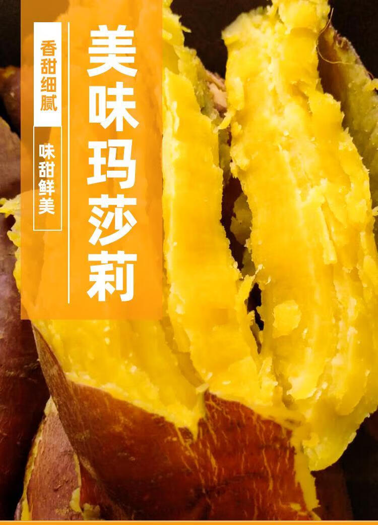 日本玛莎莉红薯 新鲜蜜薯番现挖黄心板软糯栗香甜地瓜烤山芋整箱 精选
