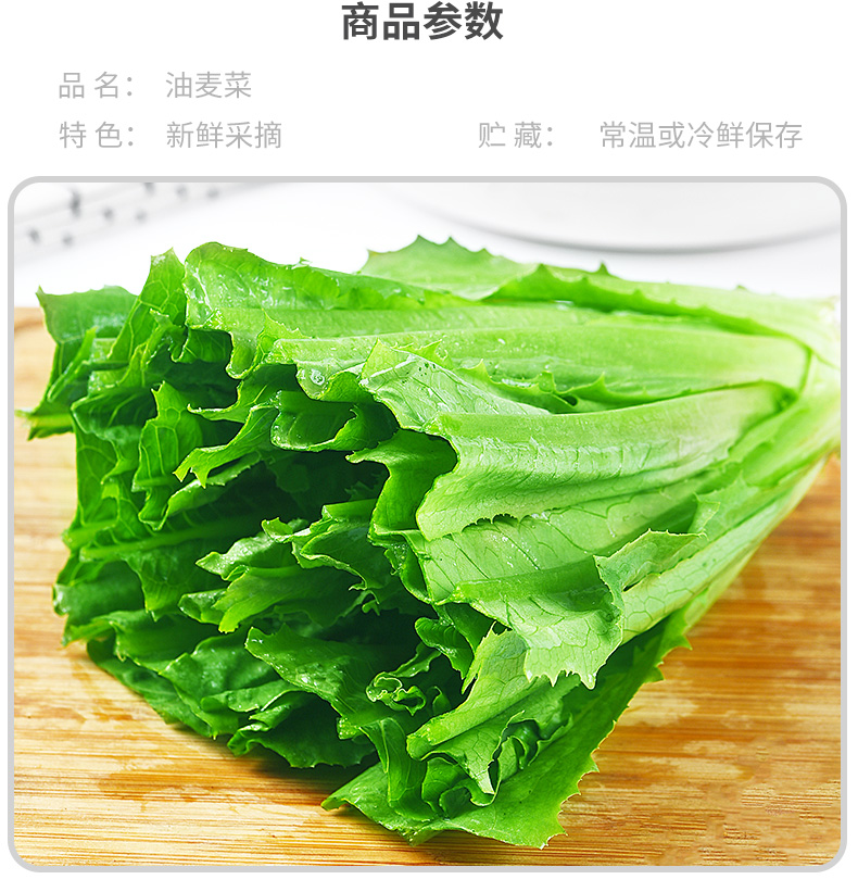 春光岛新鲜油麦菜5斤油荬香水生菜当季青菜四季农家自种时令蔬菜生鲜