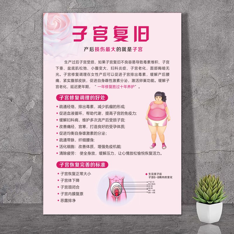 产后修复广告图月子康复宣传画产康海报催乳骨盆子宫恢复挂画装饰1