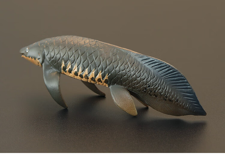 假鱼玩具鱼模型实心动物模型玩具观赏金龙鱼巨骨舌鱼锦鲤鳄雀鳝恐龙