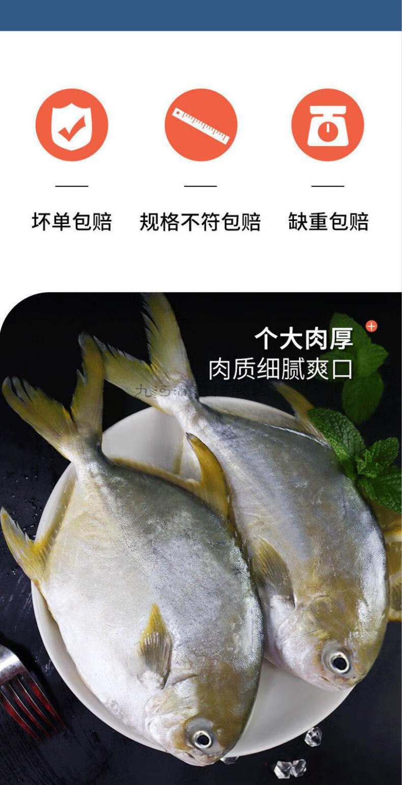 九河灌海旗舰店 特大号 金鲳鱼 新鲜冷冻 金昌鱼 生鲜鱼类 海鲜水产
