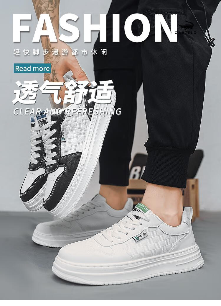 d5ae6a54d1ba9209.jpg