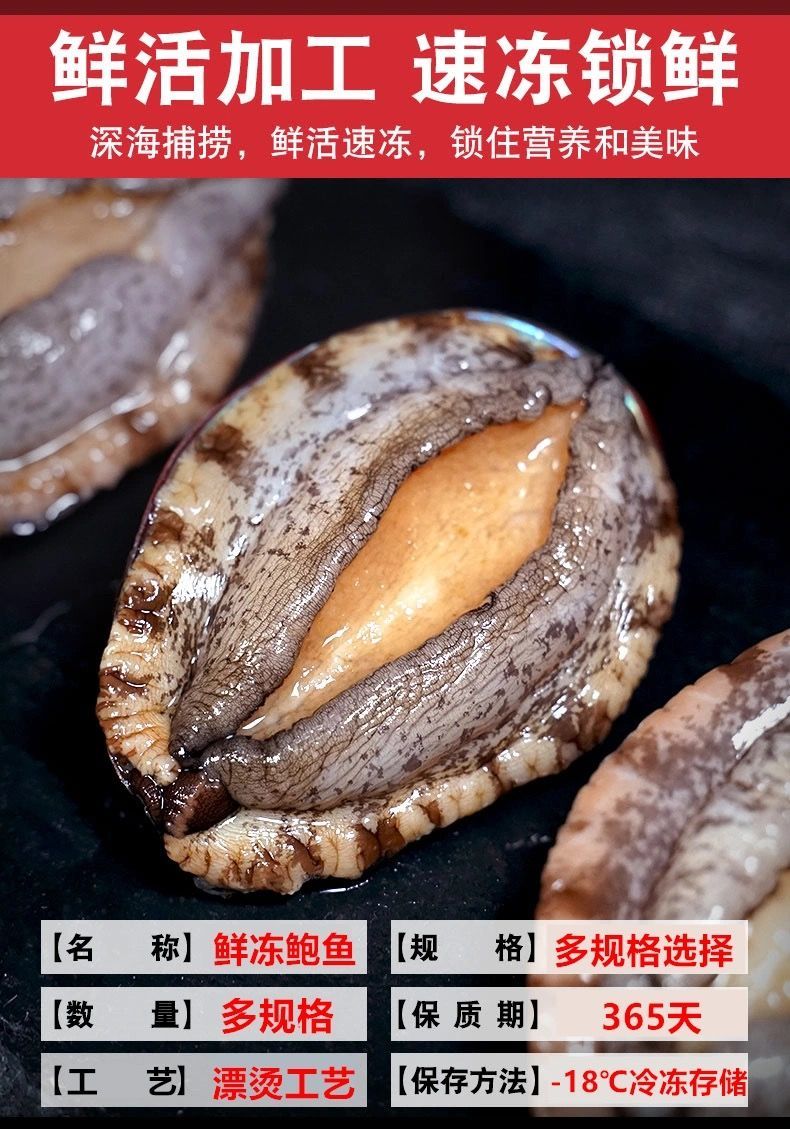 顺丰速运鲜活大鲍鱼新鲜冷冻个大鲜活海捕超大鲍鱼活体锦蜜姬大号1214