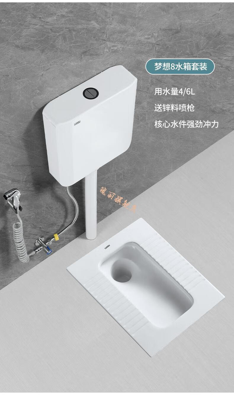 超薄蹲便器德国骆都款蹲便器131920cm带存水弯蹲坑式蹲厕水箱套装便池
