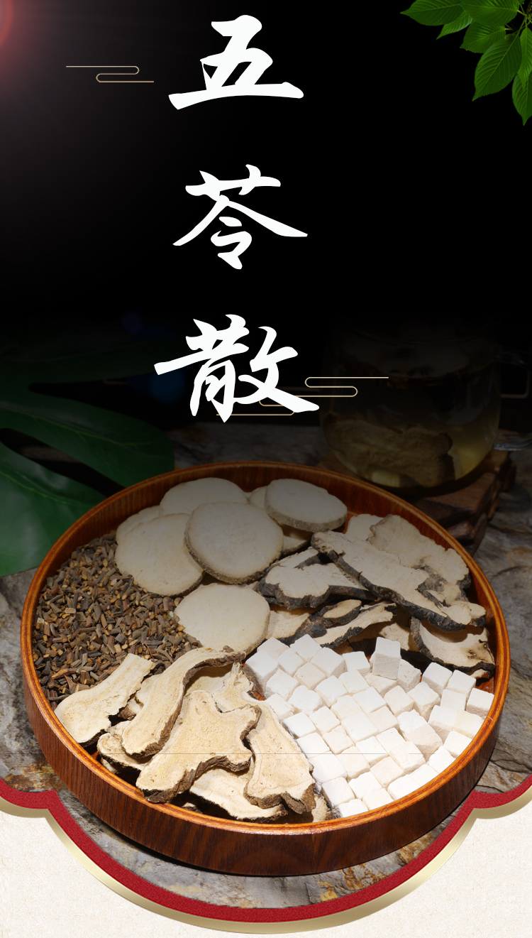 伟博茵陈五苓散原料丸粉袋泡茶白术茯苓桂枝泽泻猪苓