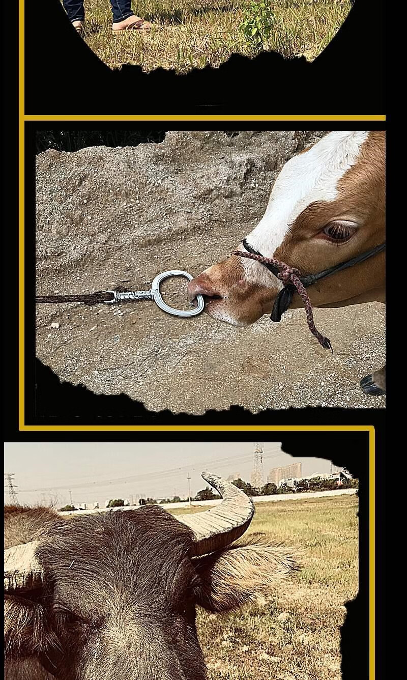 牛鼻钳子穿孔钳打孔钳抓牛鼻子牵引扣畜牧养殖夹自动牛鼻环牛鼻圈 超