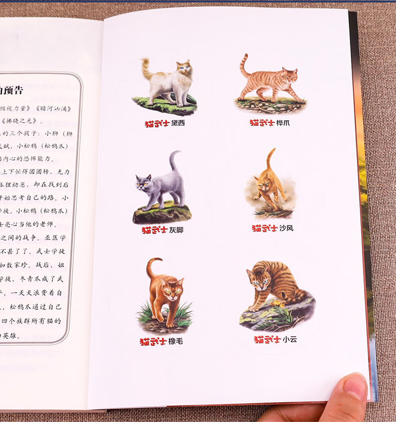 《正版猫武士全套36册首部曲呼唤野性三四五六部曲小学生3456年级课外