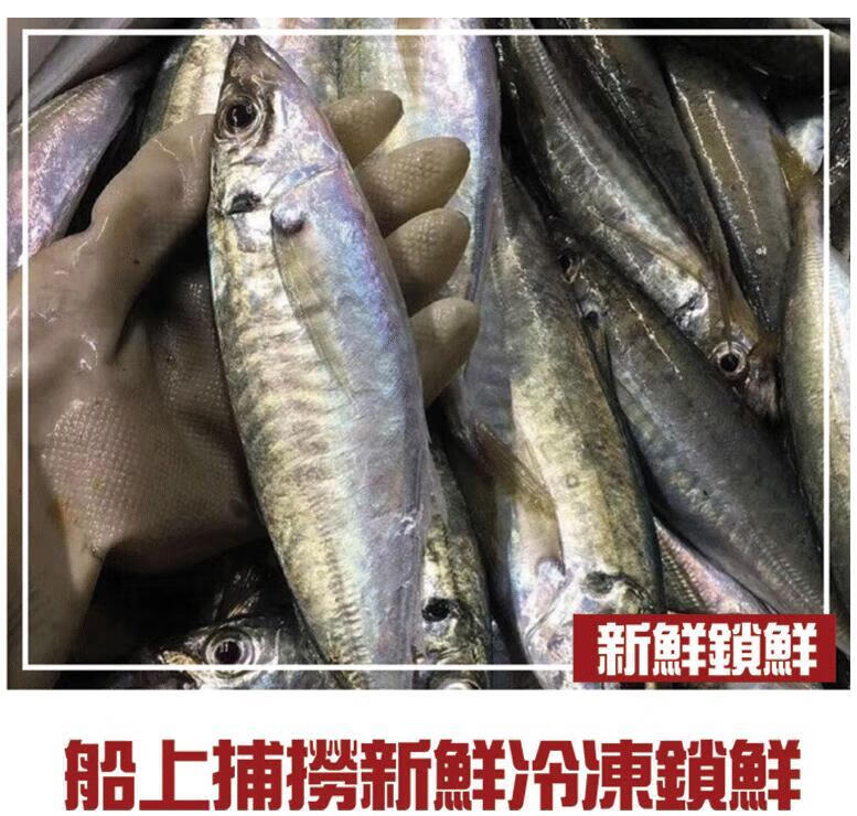 新鮮巴浪魚5斤3斤海捕新鮮冷凍秋刀魚福建特產500g35只5斤