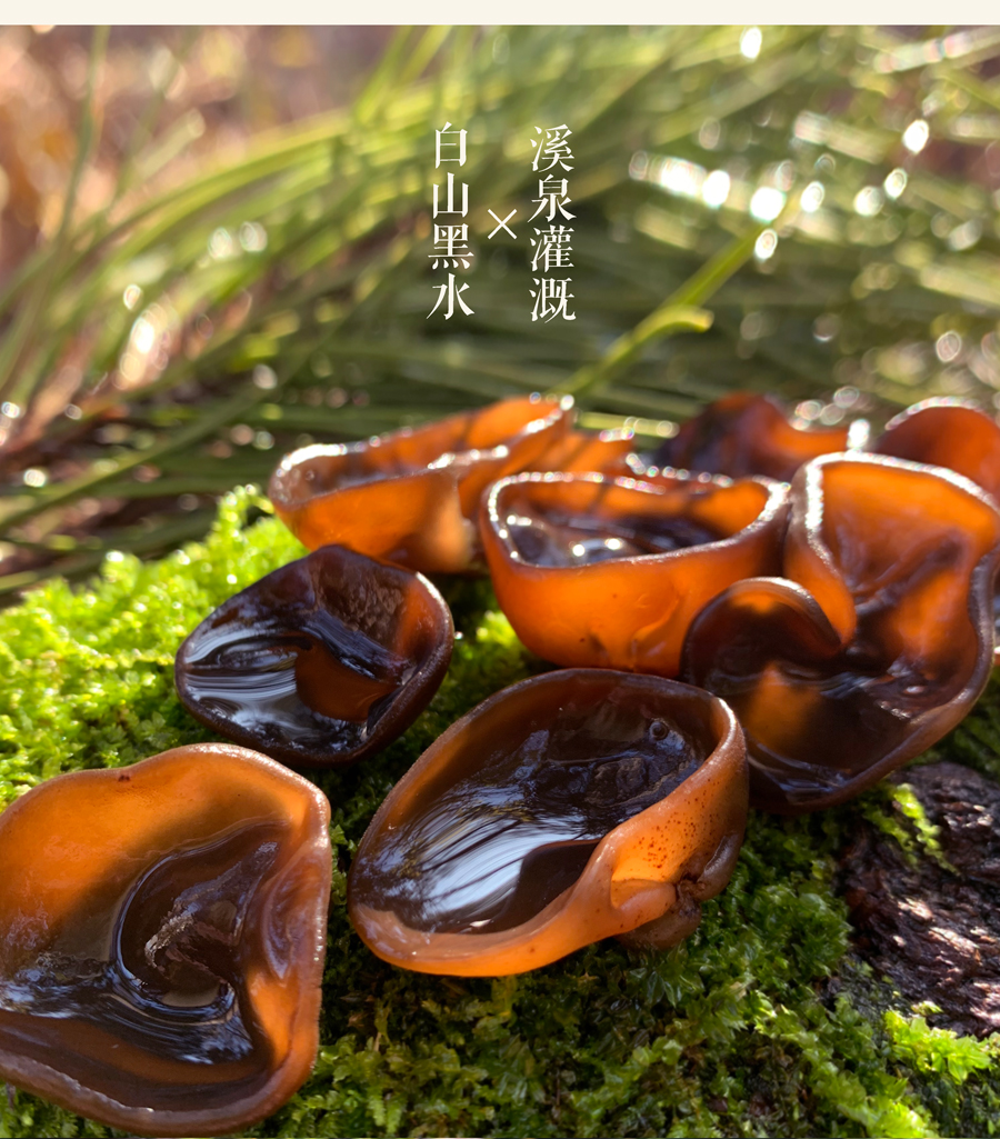 东北特产木耳礼盒辽宁沈阳碗耳黑秋木耳700g年货送礼