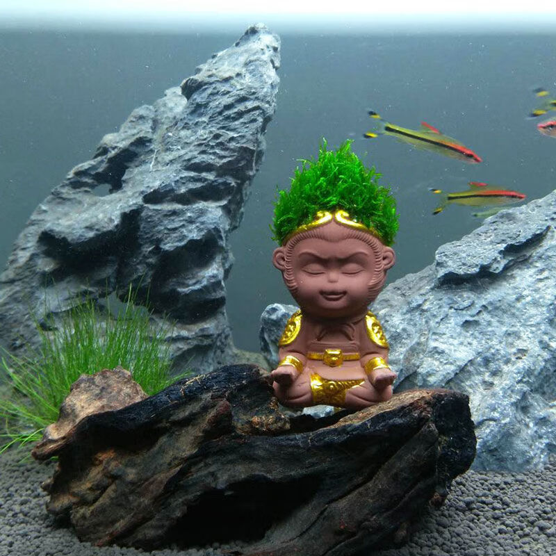 荣郁鱼缸造景孙悟空摆件活体水草观赏鱼虾螺蟹水族箱网红猴淡水活体