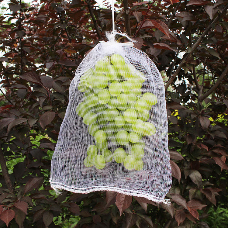 【精选】套葡萄防虫防鸟网袋透气水果防虫防鸟尼龙网浸种网火龙果树