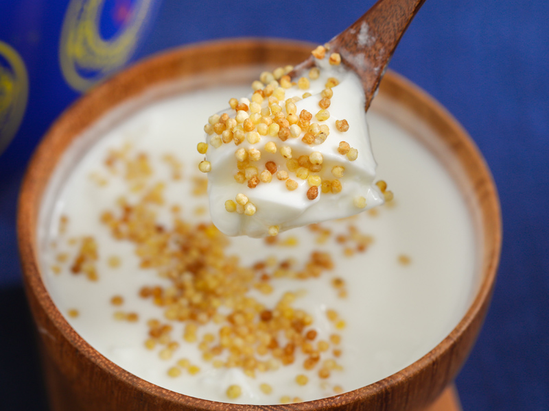 京选推荐网红内蒙古特产内蒙古老酸奶兴安盟特产1千克桶装传统手工