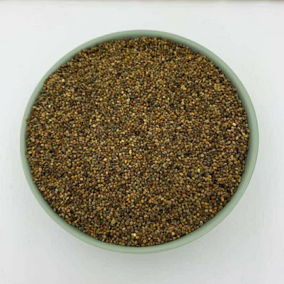 6015啡晨 优选菟丝子中药菟丝子菟丝子茶内蒙兔丝子吐丝籽吐丝子