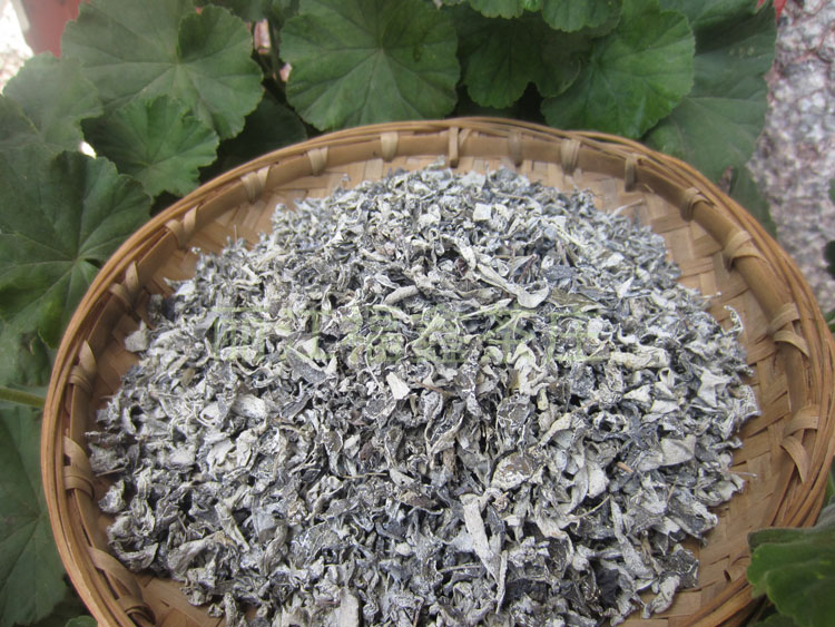 丽江雪茶 雪山古茶 古藤茶云南白雪毫大理苍山雪茶马帮雪茶500g 茶