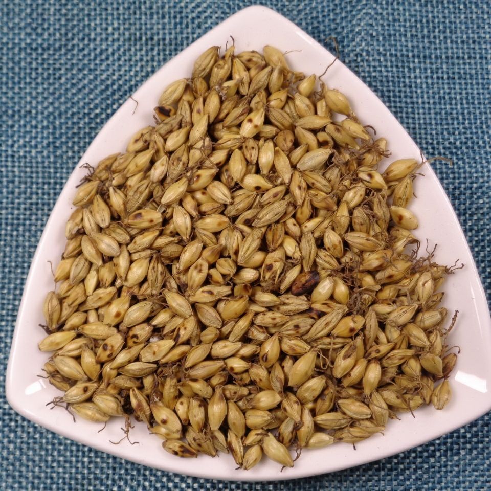 麦芽生麦芽断奶中药材大麦芽麦芽500g大麦芽新货回奶炒麦芽2500克五斤