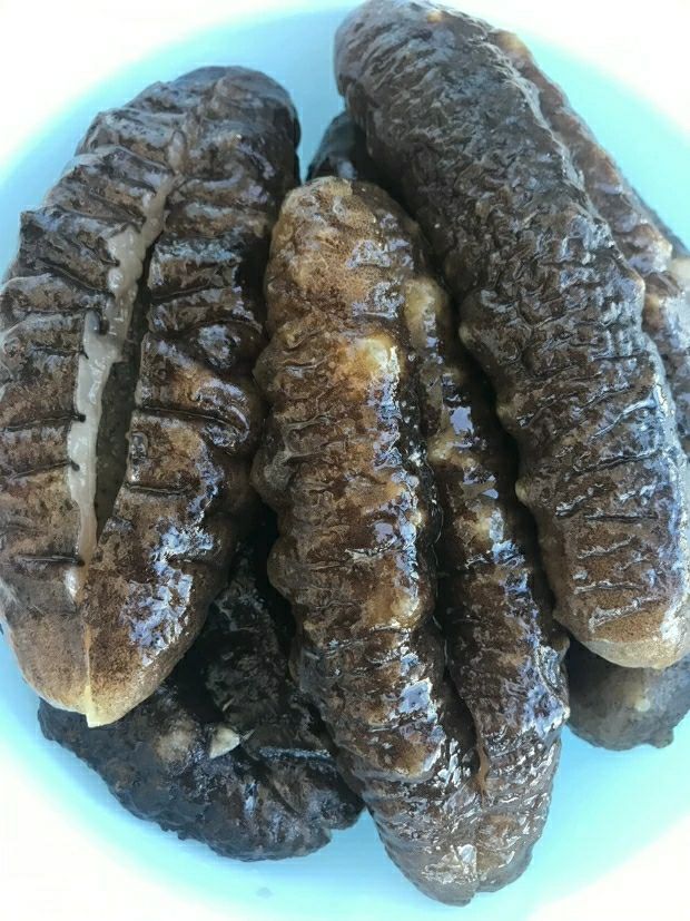 猪婆参 澳洲非州南美洲野生海参 特级白石参 淡干货 酒店供应 一斤