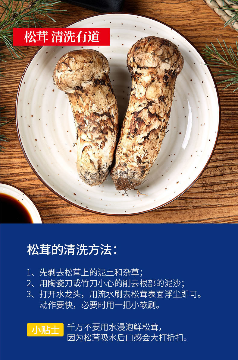 【野生松茸 空运直发】云南香格里拉新鲜野生松茸送礼高端1斤至2斤现