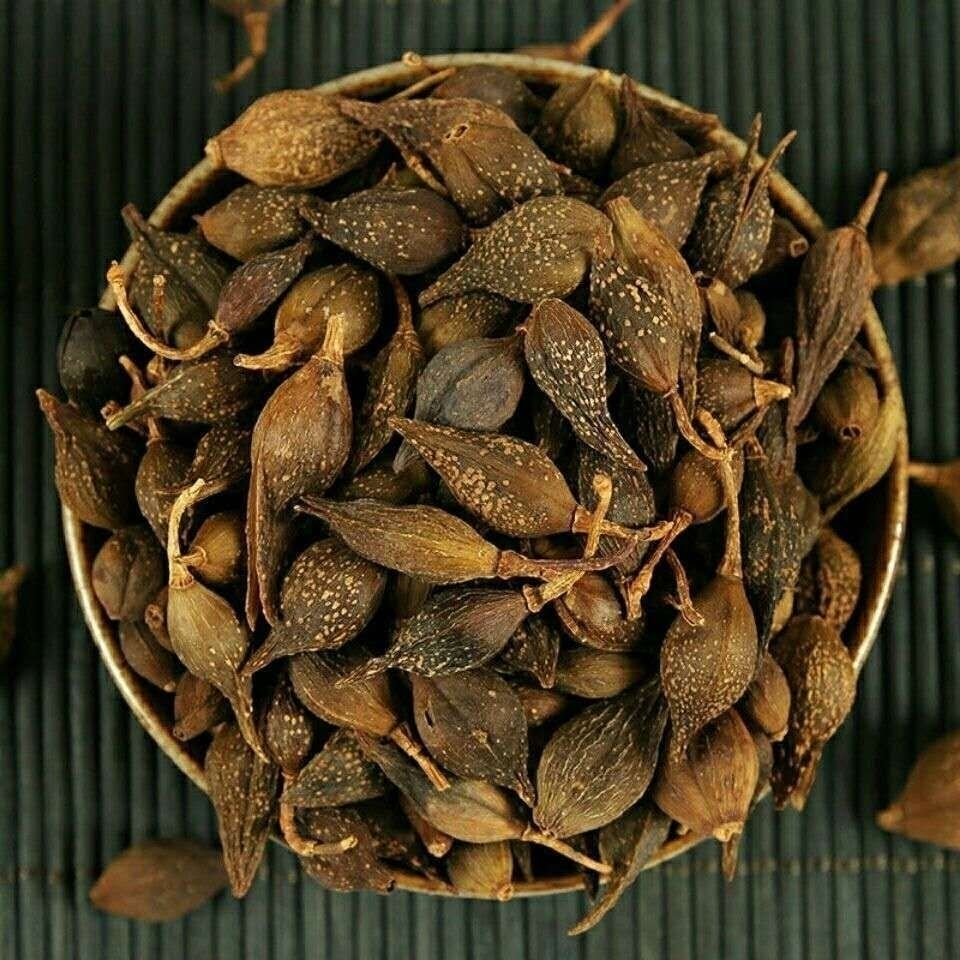 连翘无硫大别山新野生连翘银翘青翘黄翘老翘特价连翘磨粉 青连翘50克