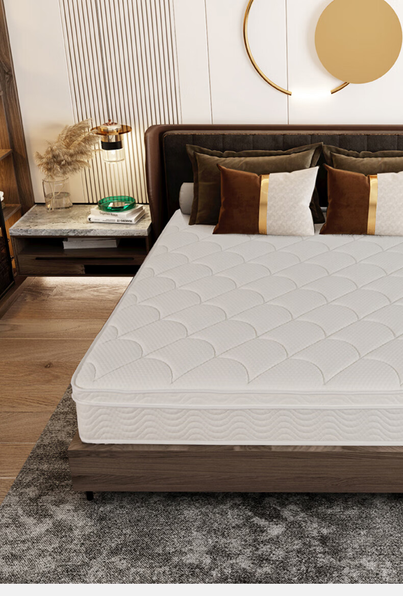 皖宝床垫椰棕皖宝床垫席梦思乳胶椰棕软硬两用独立弹簧 b:乳胶 精钢