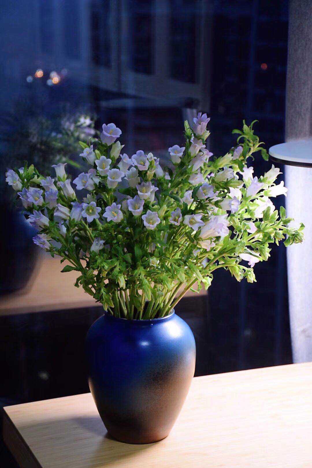 风铃鲜花切花铃铛花生日每周一花婚礼母节鲜切云南昆明空运s 风铃浅