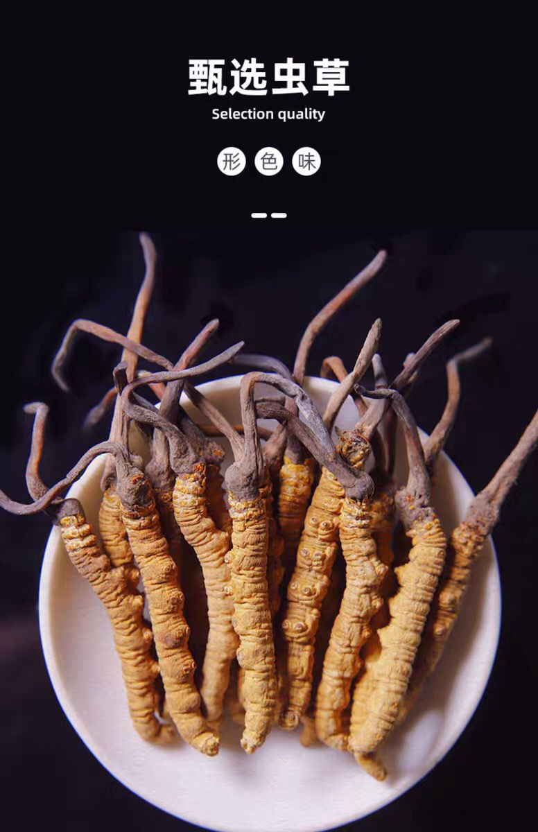 冬虫夏草冬虫草虫草干货虫草煲汤泡酒滋补品精选虫草10根