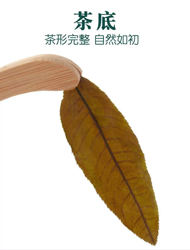 03746e258f13c669.jpg