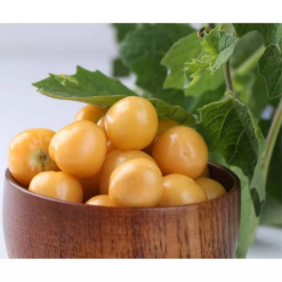 年货精选东北菇娘果黄姑娘灯笼果洋菇娘甜菇娘果当季新鲜黄皮水果整箱