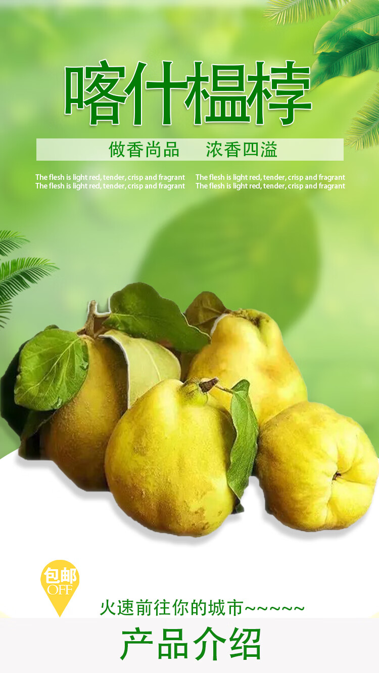 鹅梨榅桲榅孛木梨quince喀什香料鹅梨帐中香原料新疆木香料大果大果