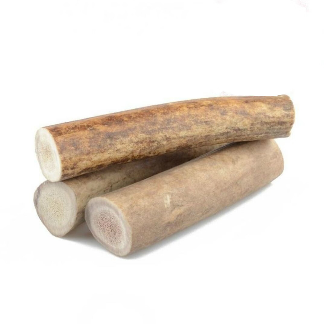 高钙鹿角磨牙棒洁齿骨零食宠物狗狗金毛泰迪幼犬大小型犬耐咬玩具圆柱