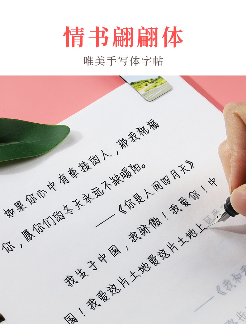 陷阱初学者楷书入门硬笔临摹钢笔字帖大学生网红抖音情书翩翩体练字
