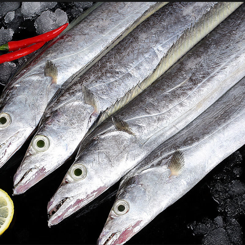 带鱼新鲜舟山带鱼整条小眼带鱼烧烤鱼类海鲜水产科德雅菲7天保价服务