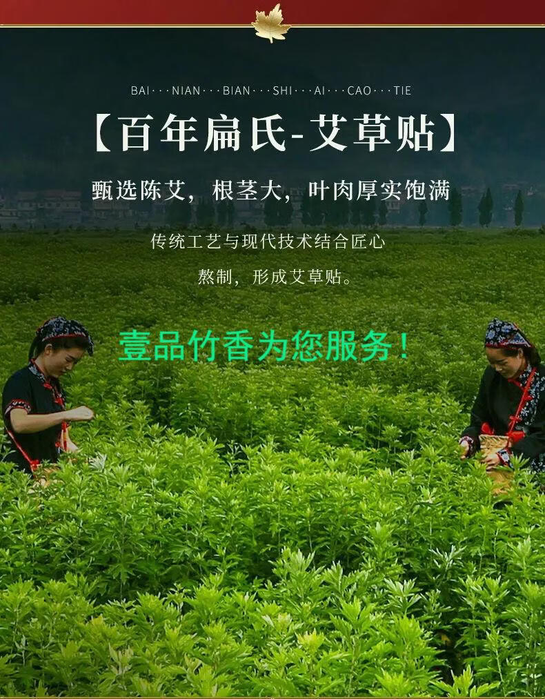 百年扁氏艾草腰椎贴腰间热敷贴保暖贴防寒腰椎贴腰椎疼痛贴艾草腰椎贴