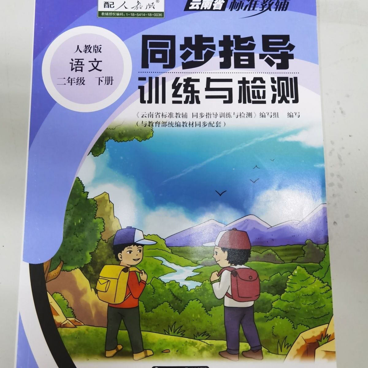 2022云南省标准教辅二年级下册语文数学同步指导训练与检测配测试二