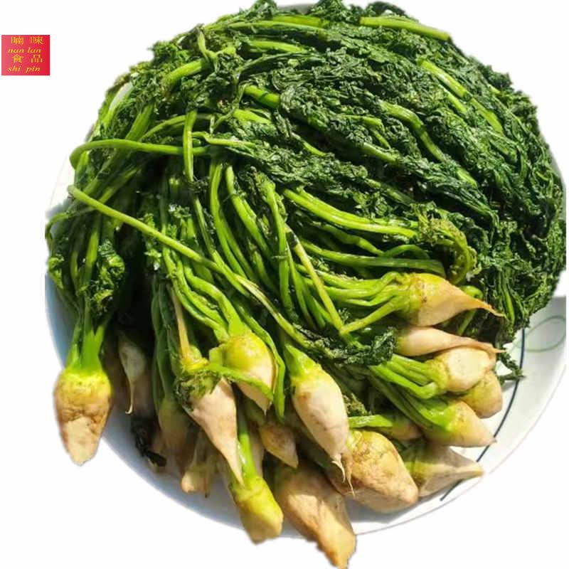 东北芥菜英子 芥菜缨子 芥菜疙瘩 芥菜樱子咸菜新鲜农产品 1斤芥菜
