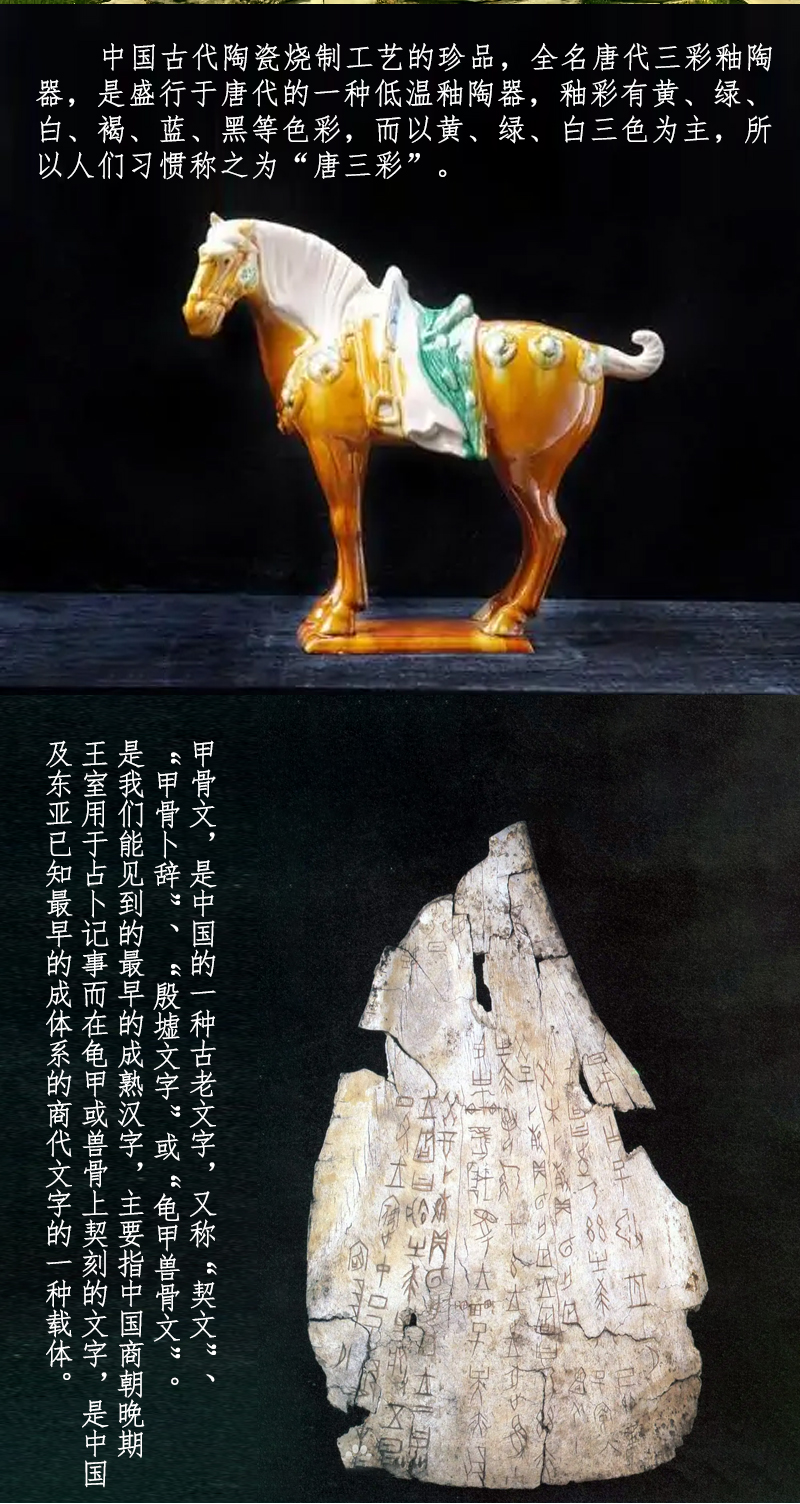 考古迷蹤盲盒匹諾兒童挖掘玩具河南博物館兵馬俑恐龍化石世界遺蹟聖誕