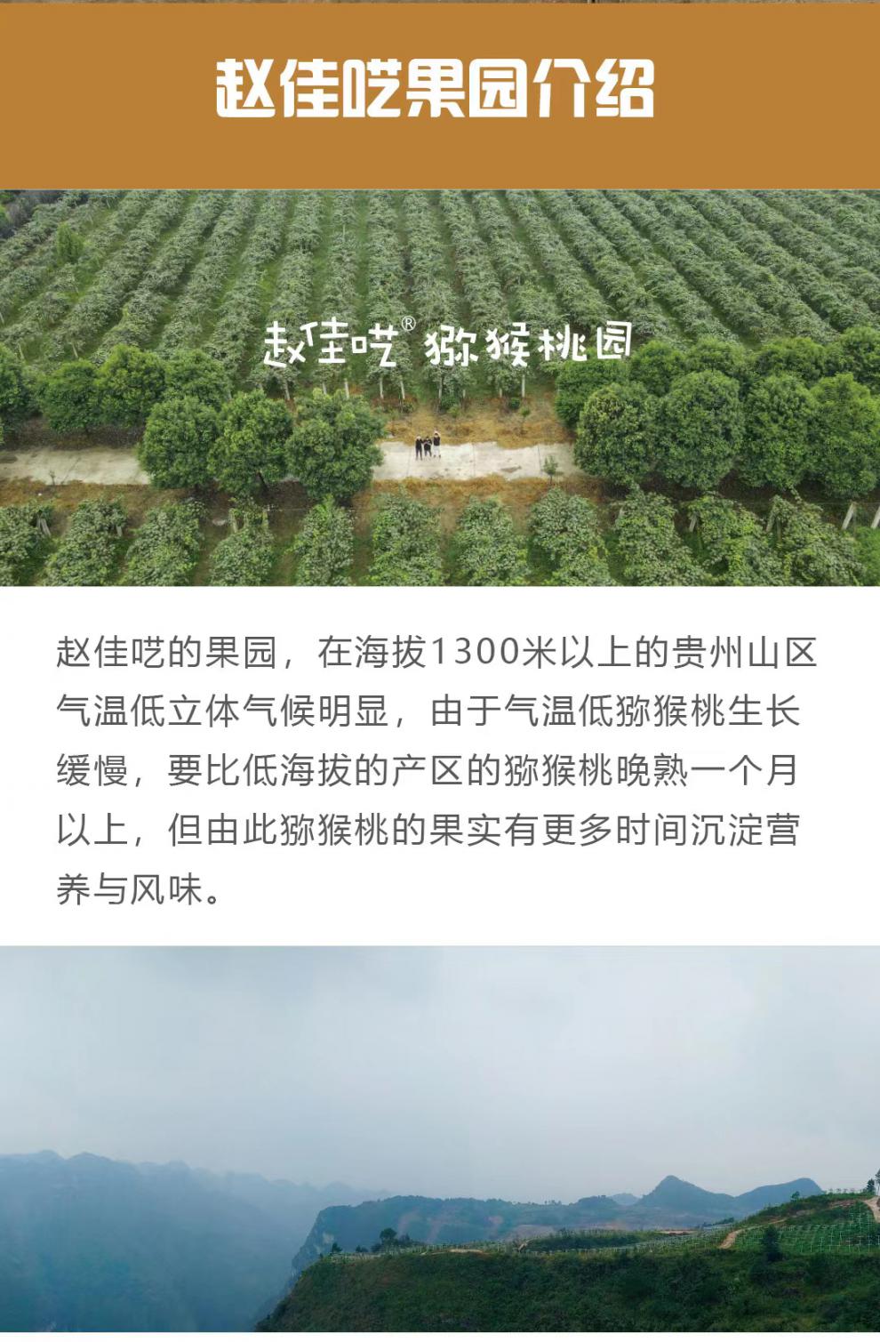 赵佳呓翠香猕猴桃精选果原箱绿心奇异果应季新鲜水果礼盒f70g含110g不