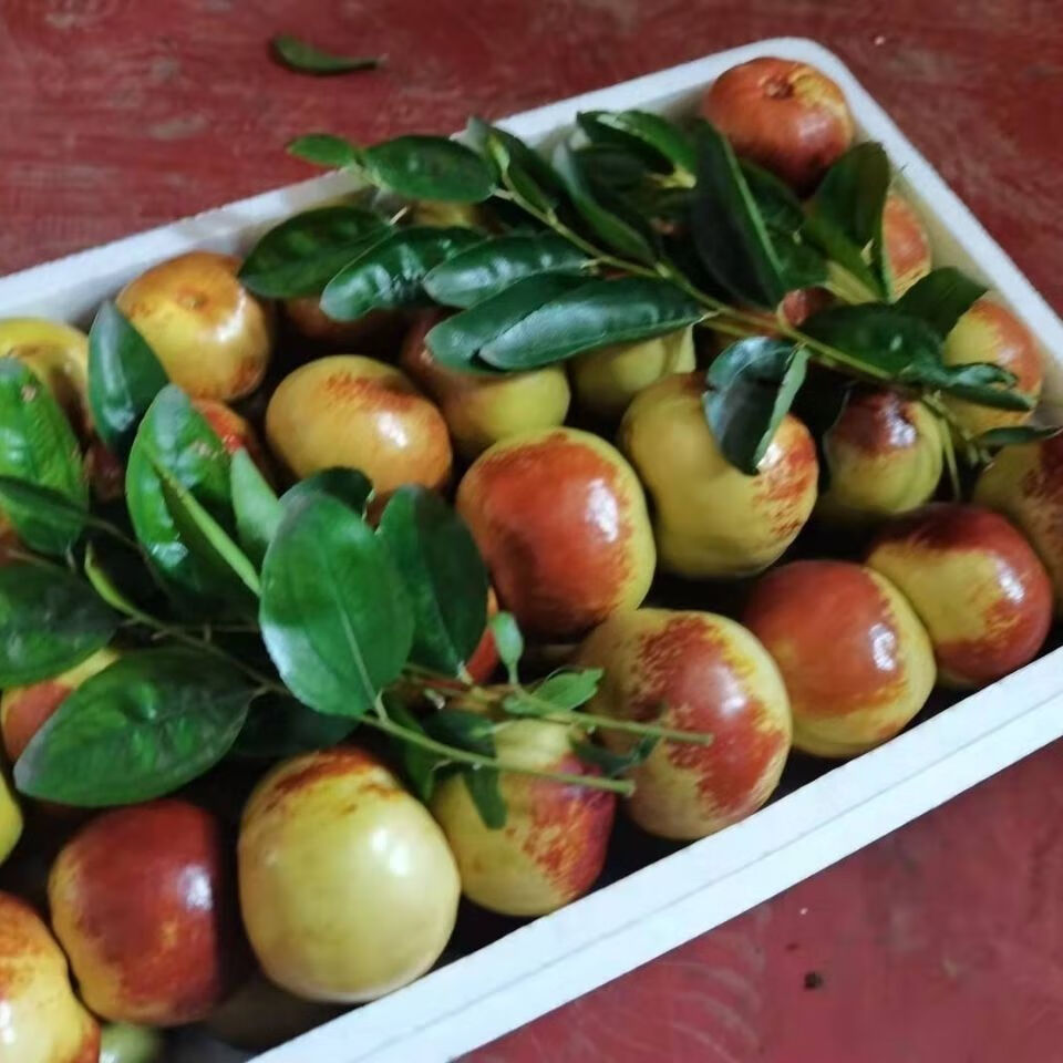 蟠枣新鲜脆甜沾化冬枣三代大果孕妇儿童老人水果精礼品 大果三斤