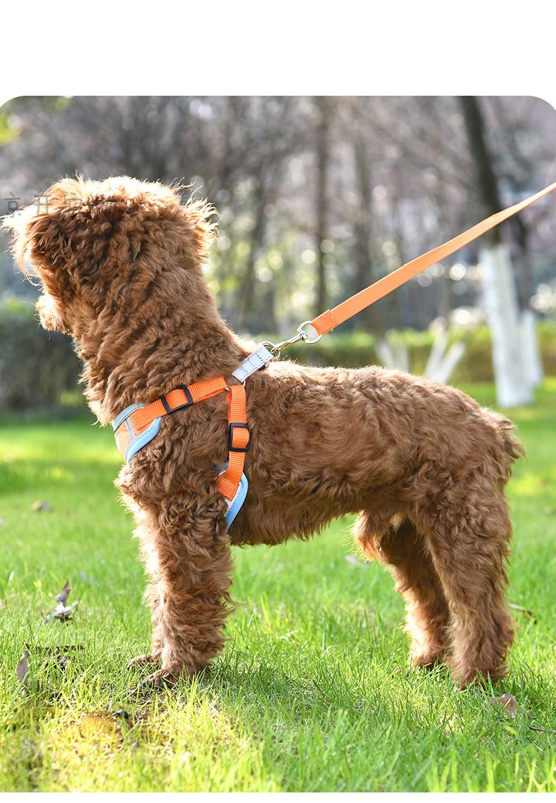 冲爆狗狗牵引绳背心式狗绳子胸背带外出泰迪比熊小型犬幼犬狗链子遛狗