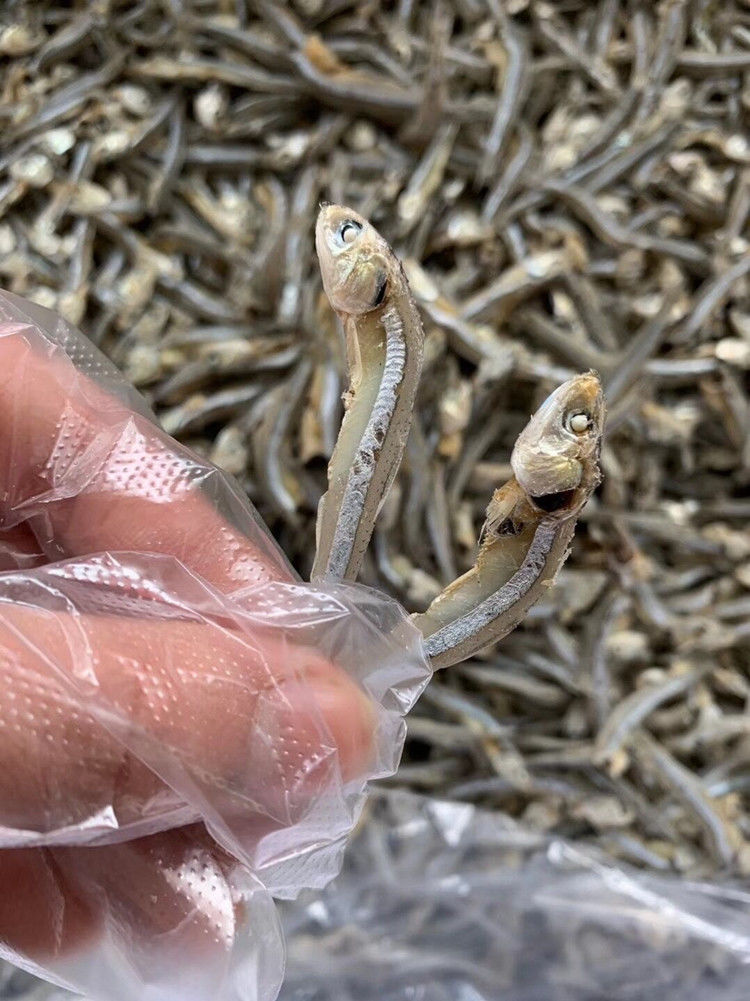 潮汕南澳特产海水自晒饶鱼仔干金线海燕鱼干小鱼干干货海鲜饶鱼仔400g