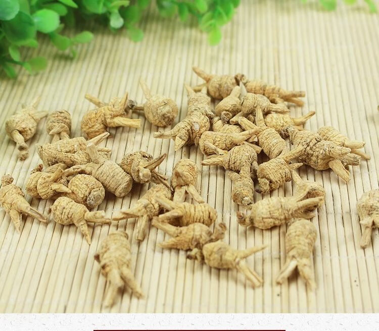 觅阳参美国进口花旗参泡特级牙齿参精选野生觅阳参西洋参代磨粉 整粒