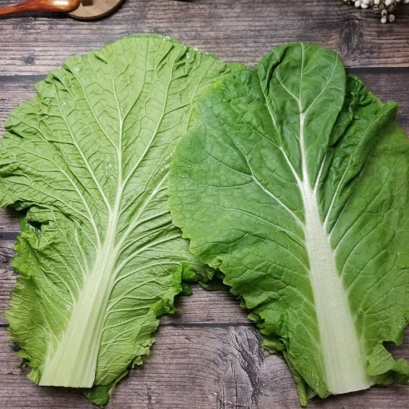 新鲜大白菜叶顺丰快递东北白菜叶包饭叶子白菜打包饭菜鲜叶子现摘现发