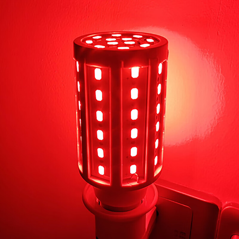 led灯笼红灯泡彩色粉光紫色蓝绿橙黄螺口氛围情调玉米小夜灯节能红色