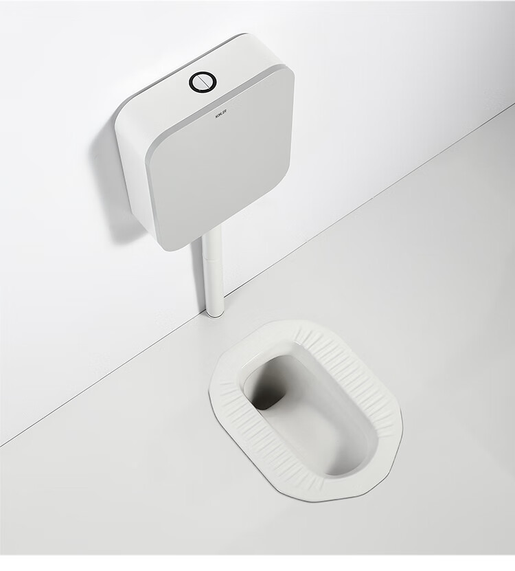 科勒(kohler)蹲便器水箱套装蹲便器 蹲坑式陶瓷家用蹲厕便池防臭k