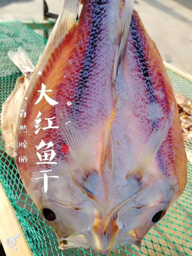 深海大紅魚乾多規格廣西北海家產品魚肉鹹魚幹整條賣紅魚海鮮乾貨