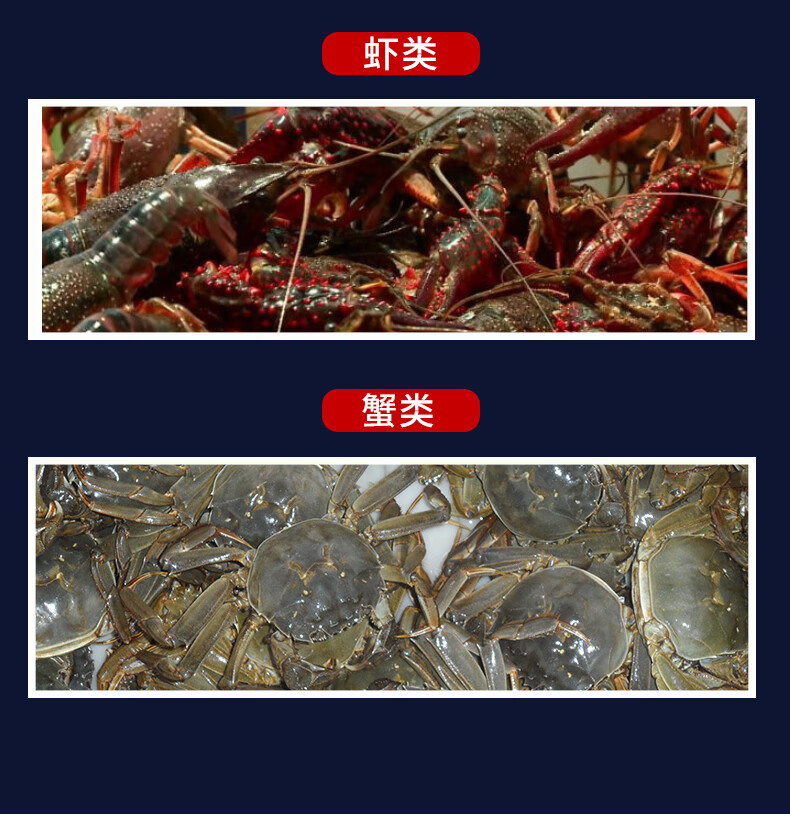 渔美惠硫醚沙星水产养殖专用水霉等鱼药消毒杀菌虾蟹鱼塘用水族龟