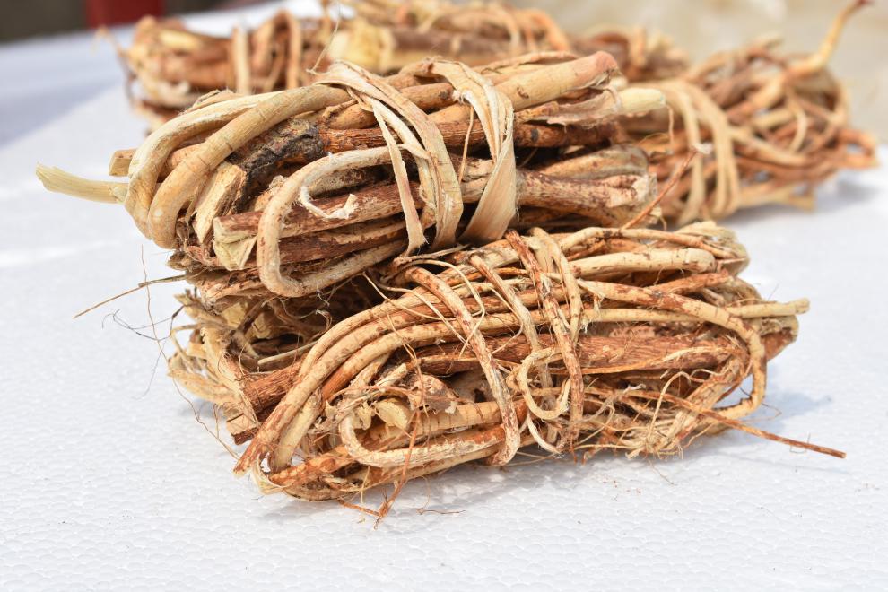 广东河源野生五指毛桃根新鲜特级农家五爪龙500g特产煲汤材料干货定制