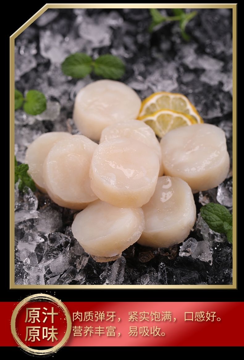 顺丰直达新鲜速冻新鲜扇贝柱冷冻元贝柱瑶柱扇贝原生扇贝丁海鲜冷冻