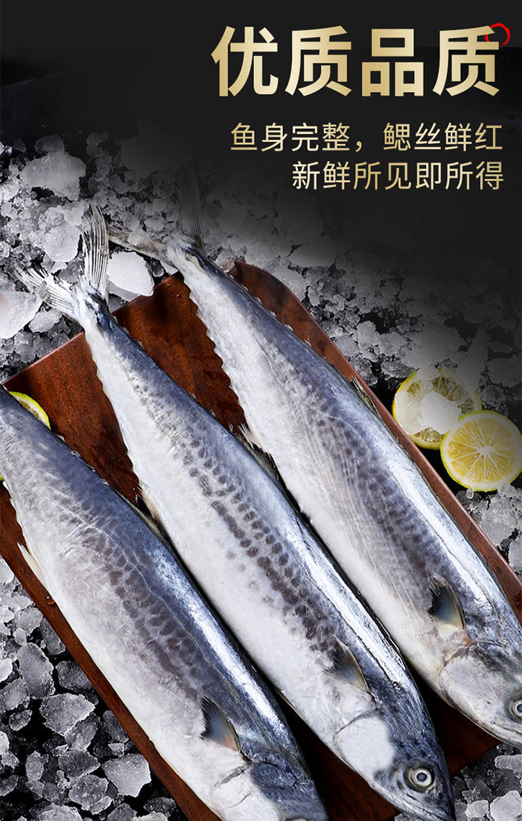 當季新品青島大鮁魚新鮮冷凍馬鮫魚鮮活海鮮魚鮁魚餡鹹鮁魚淨3斤特大