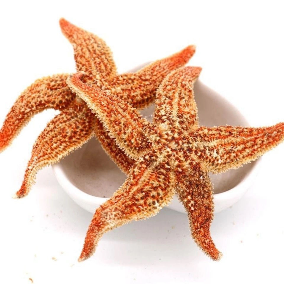 海星泡酒料海星干海盘车海星干货滋补煲汤泡酒多规格新品崇妙 海星250
